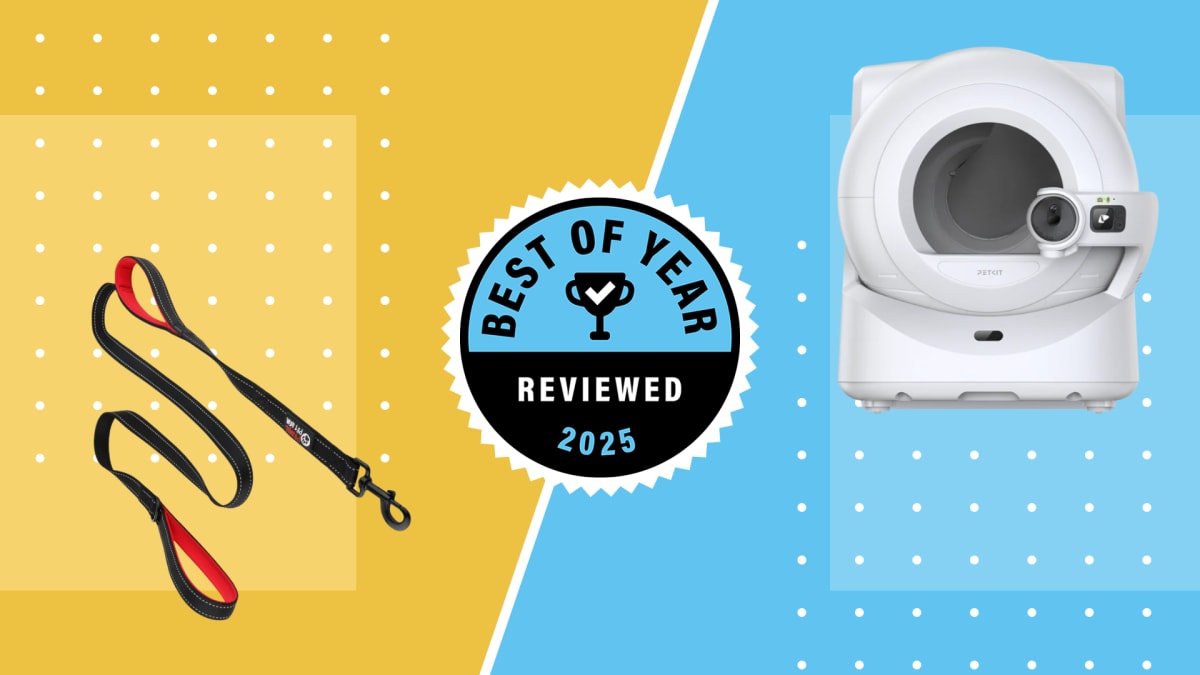 Die besten Haustierprodukte 2025