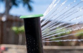 Eine smarte Bewässerungssteuerung könnte die Lösung für einen grünen Rasen sein