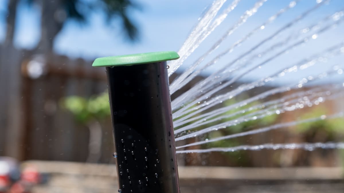 Eine smarte Bewässerungssteuerung könnte die Lösung für einen grünen Rasen sein