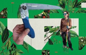 Gartenwerkzeuge, auf die Gärtner in Amerikas größten botanischen Zentren schwören