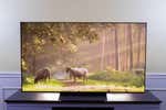 The Best OLED TV