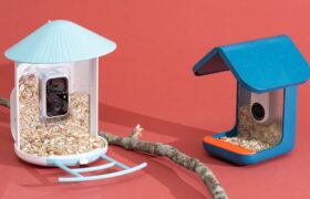 Die besten smarten Vogelfutterspender