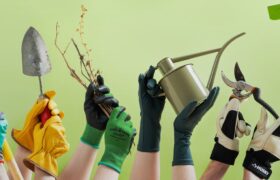 Die besten Gartenhandschuhe