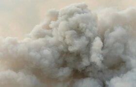 Wie kann ich Waldbrandrauch aus meinem Zuhause entfernen?