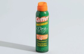 Was ist so schlecht an DEET?