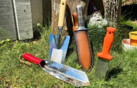 Gartenkelle oder Bodenmesser: Welches Werkzeug brauchst du wirklich? Liam Dug In