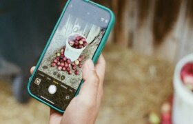 7 einfache Tipps für noch bessere iPhone-Fotos