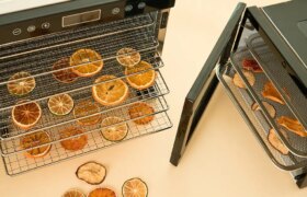 Der beste Dehydrator für Lebensmittel