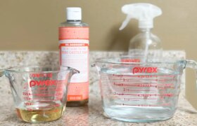 Ist Dr. Bronner’s Castile-Seife wirklich die einzige Haushaltsseife, die Sie brauchen?