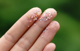 Mikroplastiken sind überall: So vermeiden Sie den Verzehr von Mikroplastik.