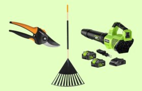 Heute bei Amazon: 3 Gartenwerkzeuge für draußen im Angebot